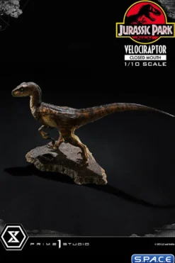 1/10 Scale Velociraptor Prime Collectible Figures Statue
