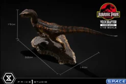 1/10 Scale Velociraptor Prime Collectible Figures Statue