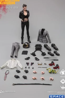 1/6 Scale Vera - Diamond 6