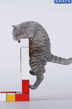 1/6 Scale Wall-Climbing Cat