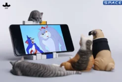 1/6 Scale Wall-Climbing Cat