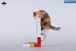 1/6 Scale Wall-Climbing Cat