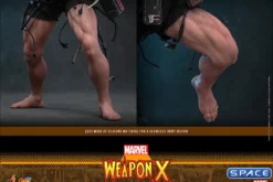1/6 Scale Weapon X Comic Masterpiece CMS034