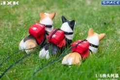 1/6 Scale Welsh Corgi Pembroke