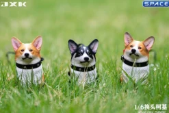 1/6 Scale Welsh Corgi Pembroke