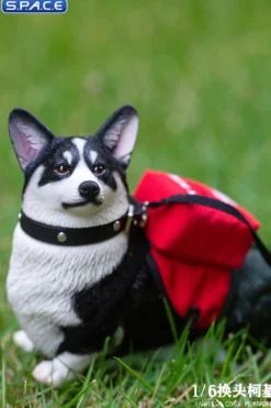 1/6 Scale Welsh Corgi Pembroke
