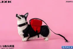 1/6 Scale Welsh Corgi Pembroke