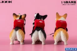 1/6 Scale Welsh Corgi Pembroke