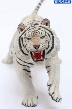 1/6 Scale white attacking Tiger