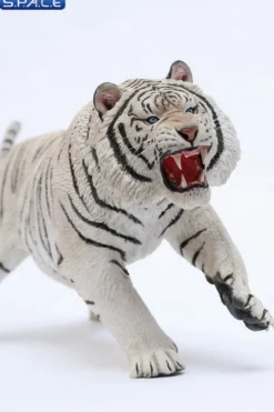 1/6 Scale white attacking Tiger