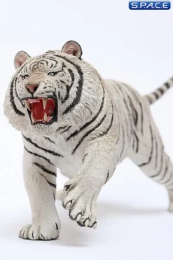 1/6 Scale white attacking Tiger