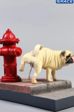 1/6 Scale white Pug leg lift including hydrant base