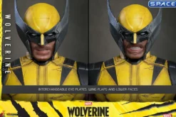 1/6 Scale Wolverine Deluxe Version