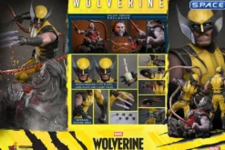 1/6 Scale Wolverine Deluxe Version