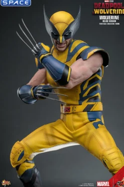 1/6 Scale Wolverine Deluxe Version Movie Masterpiece MMS754