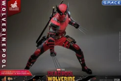 1/6 Scale Wolverinepool Movie Masterpiece MMS857
