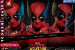 1/6 Scale Wolverinepool Movie Masterpiece MMS857