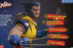 1/6 Scale Wolverine unmasked HS06