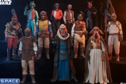 1/6 Scale Wooof Scum & Villainy