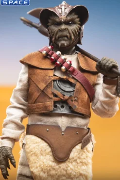 1/6 Scale Wooof Scum & Villainy
