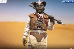 1/6 Scale Wooof Scum & Villainy