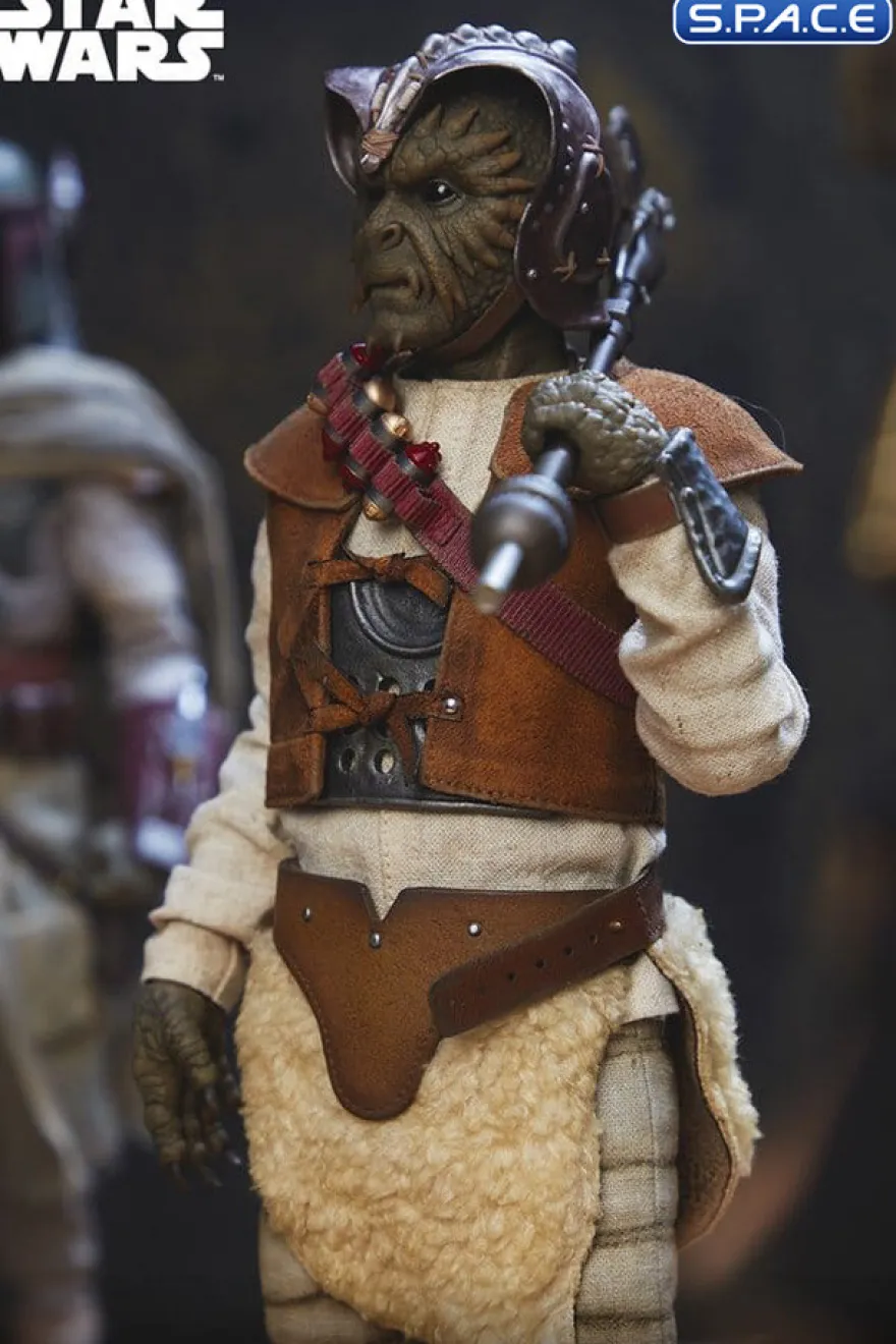 1/6 Scale Wooof Scum & Villainy