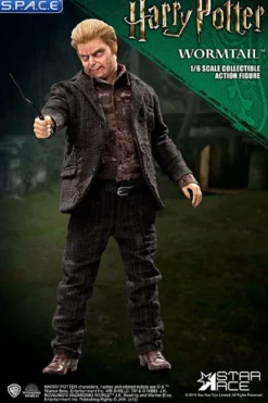 1/6 Scale Wormtail »Peter Pettigrew«