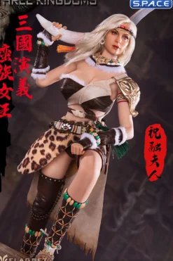 1/6 Scale Zhurong