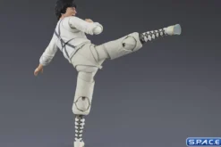 S.H.Figuarts Dragon Ma