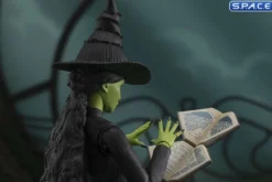 S.H.Figuarts Elphaba