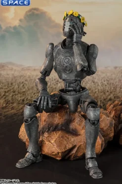 S.H.Figuarts Jimmy