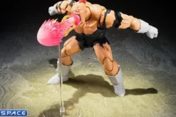 S.H.Figuarts Recoome »The Nightmare«