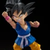 S.H.Figuarts Son Goku