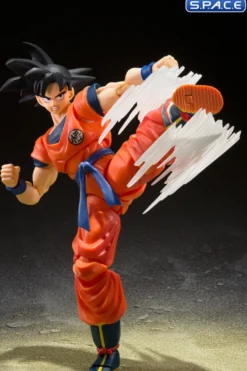 S.H.Figuarts Son Goku's Effect Parts Set