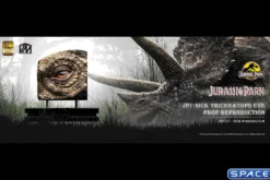 Sick Triceratops Eye Prop Replica