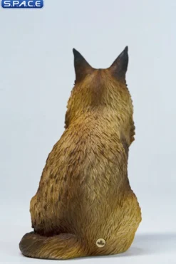 Sitting upright Maine Coon Statue