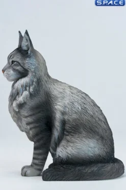 Sitting upright Maine Coon Statue