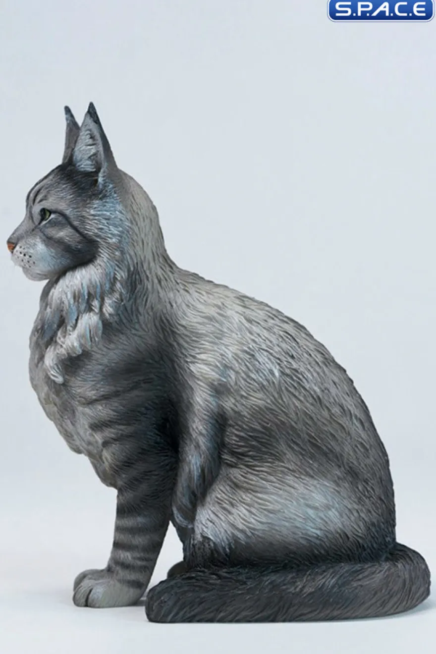 Sitting upright Maine Coon Statue