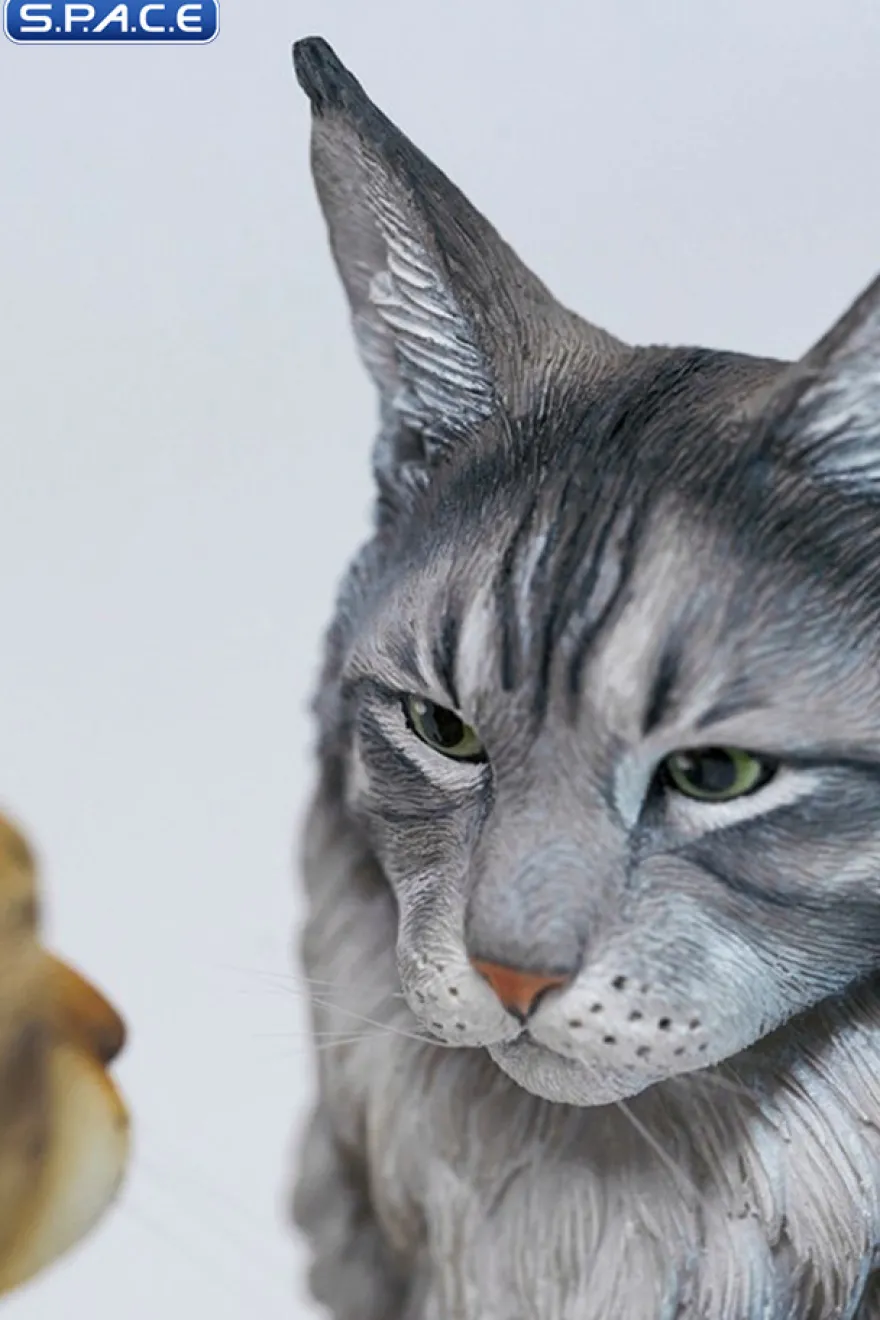 Sitting upright Maine Coon Statue