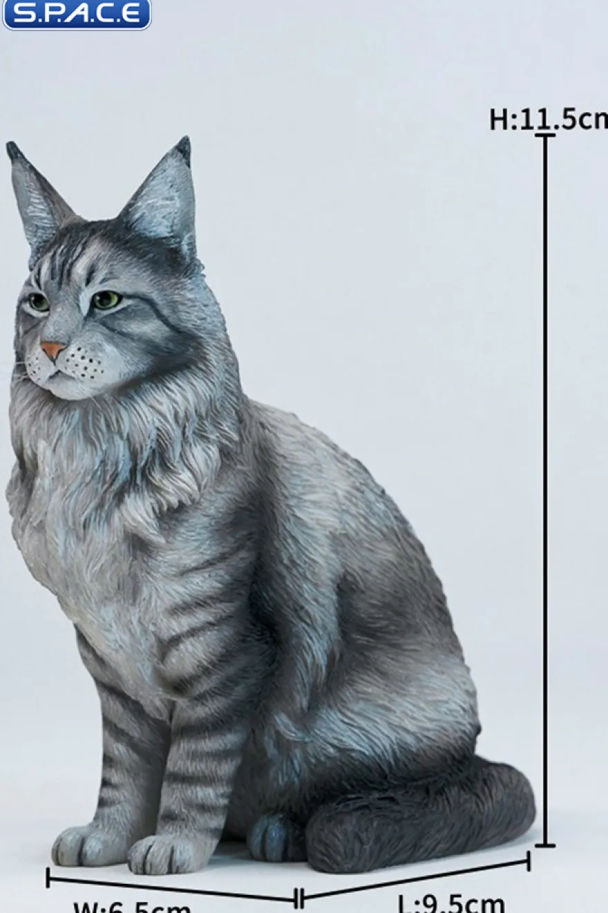 Sitting upright Maine Coon Statue