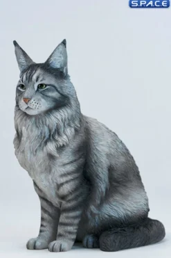 Sitting upright Maine Coon Statue
