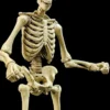 Skeleton Epic H.A.C.K.S. - Classic Bone Version