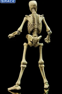 Skeleton Epic H.A.C.K.S. - Classic Bone Version