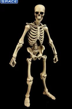 Skeleton Epic H.A.C.K.S. - Classic Bone Version