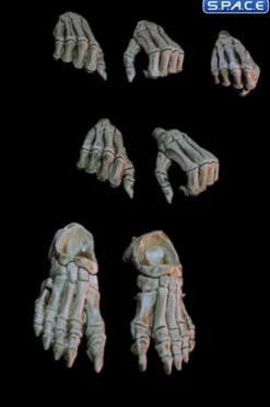 Skeletons of Necronominus Hands & Feet Pack