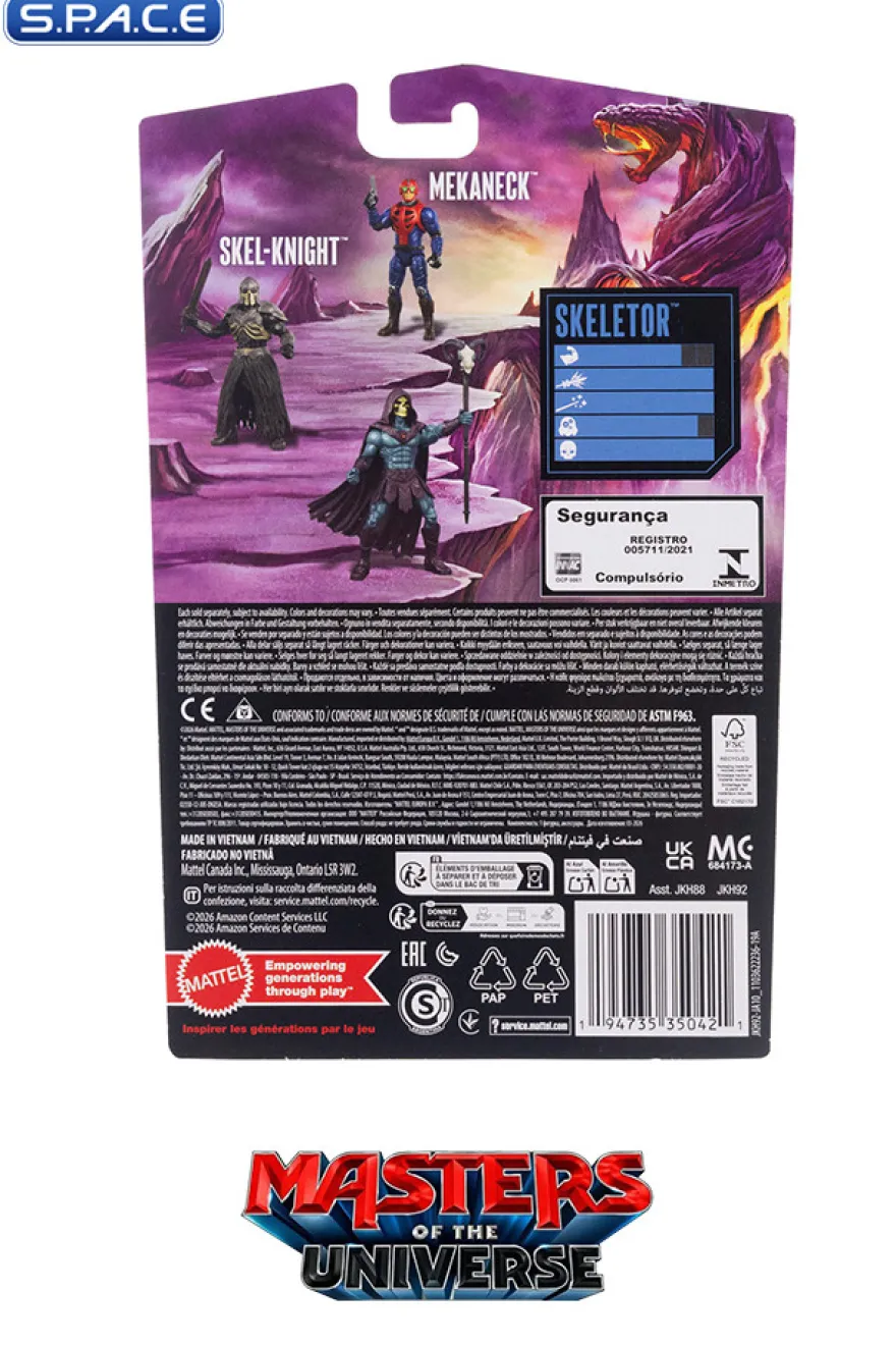 Skeletor (MOTU Core)