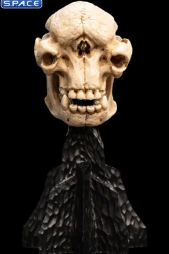 Skull of a Cave Troll