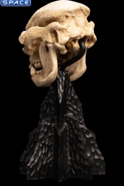 Skull of a Cave Troll