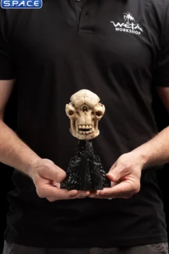 Skull of a Cave Troll