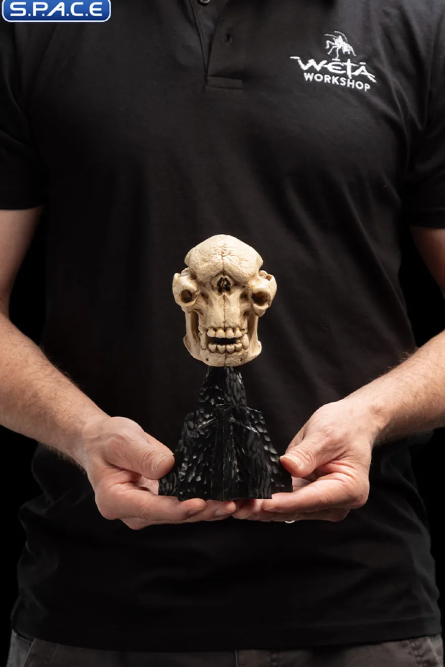Skull of a Cave Troll